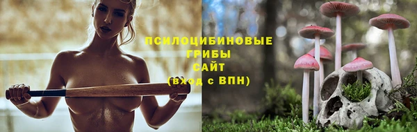 ПСИЛОЦИБИНОВЫЕ ГРИБЫ Бугульма