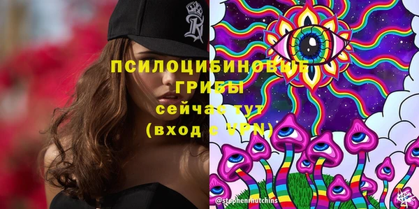 бутират Бородино