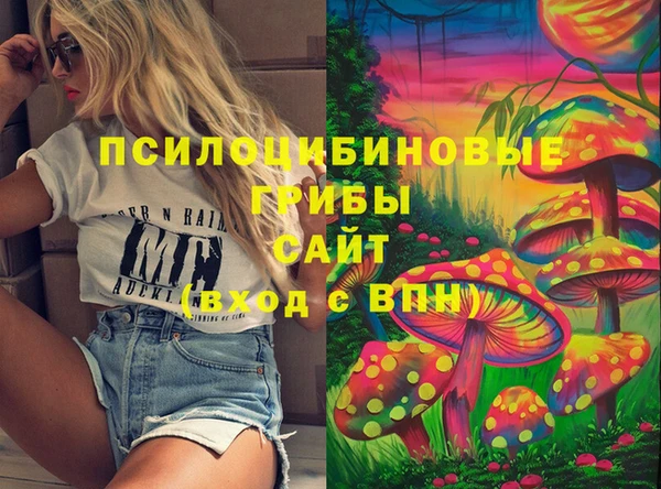 ПСИЛОЦИБИНОВЫЕ ГРИБЫ Бугульма