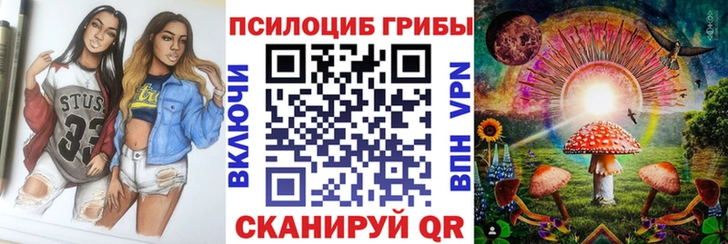 Галлюциногенные грибы Cubensis  Новоржев 